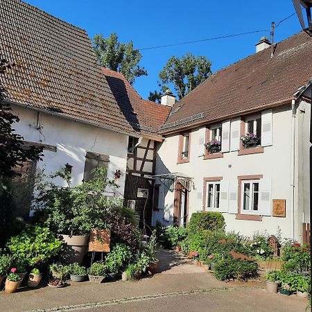 La Renardiere Reichshoffen Zewnętrze zdjęcie